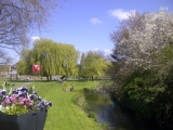 Gostrey Meadow