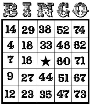 Bingo at Brambleton