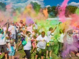 Dash of Colour