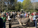 2025_04_13 Palm Sunday IMG_6161